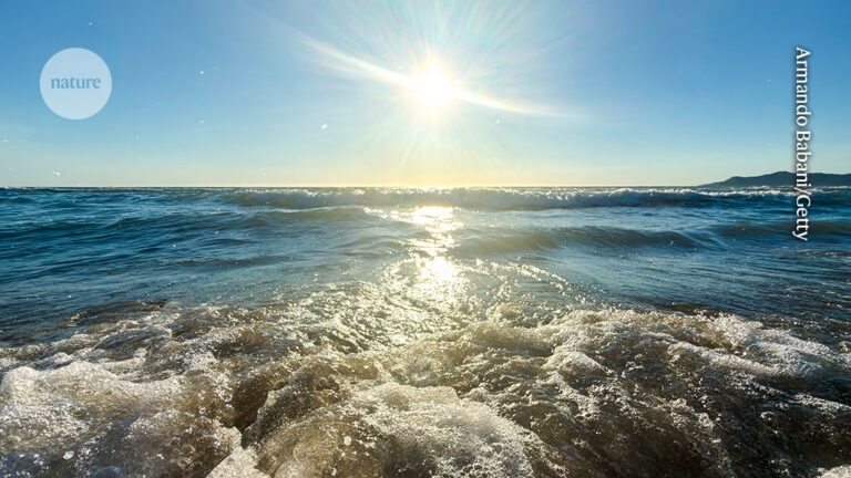 Ocean temperatures set to break all-time record: what’s next?