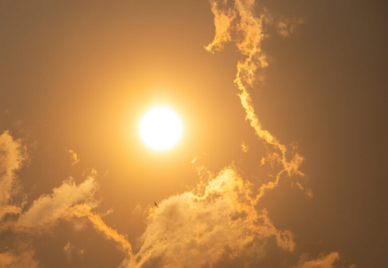 The climate is changing • Minnesota Reformer