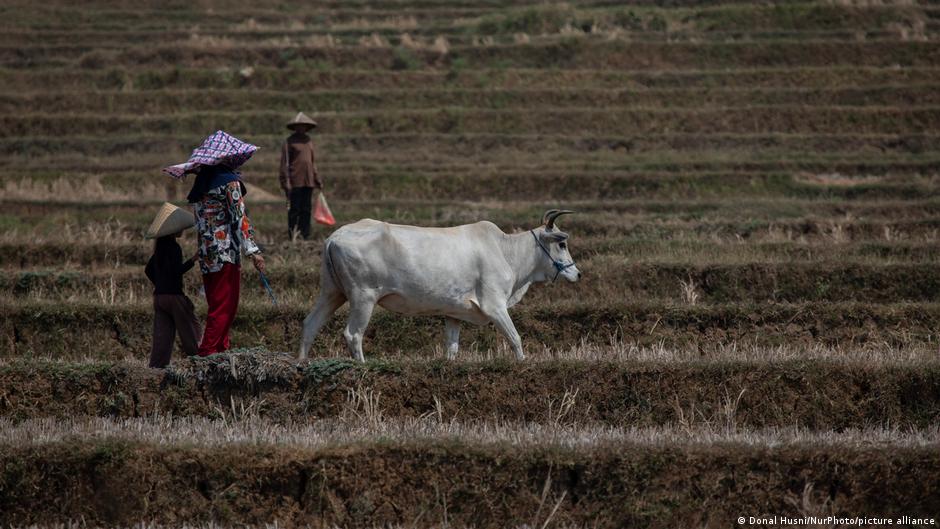 How climate change and food insecurity could fuel conflicts