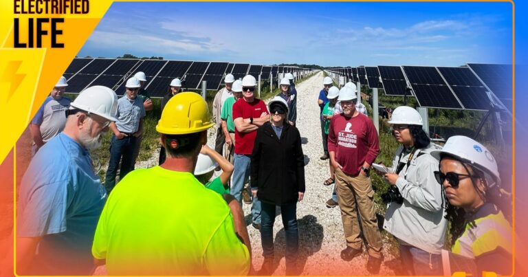 Retired Educator Dorothy Macy Advocates for Clean Energy in Illinois - Creation Covenant Alliance How to stick up for renewable energy projects near you
