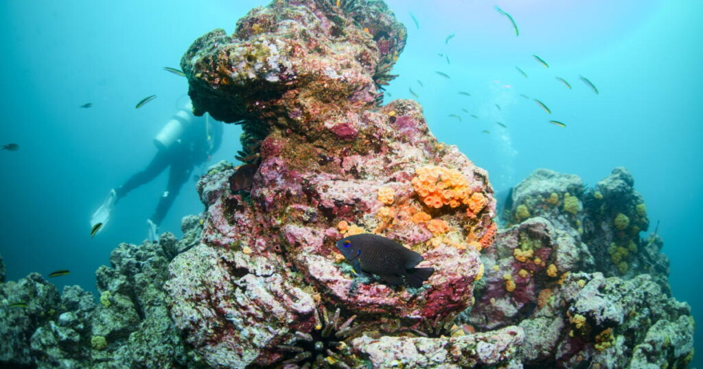 Research suggests global warming has increased 'super' El Niño's punch