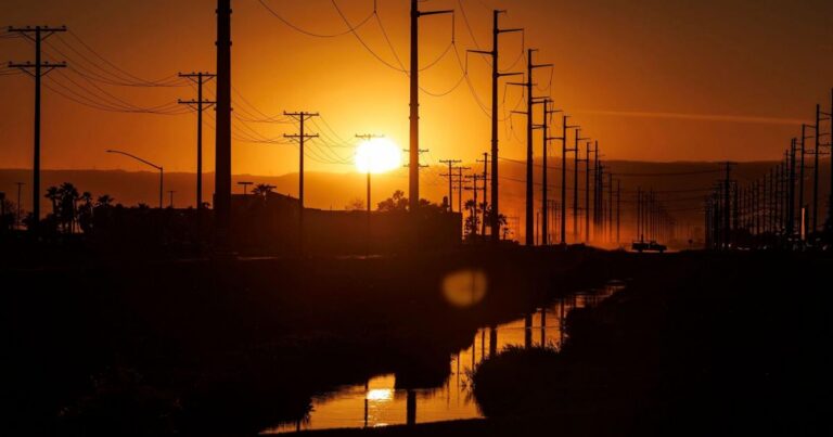 Exactly how much of an environmental menace is AI? Here’s what we know | National
