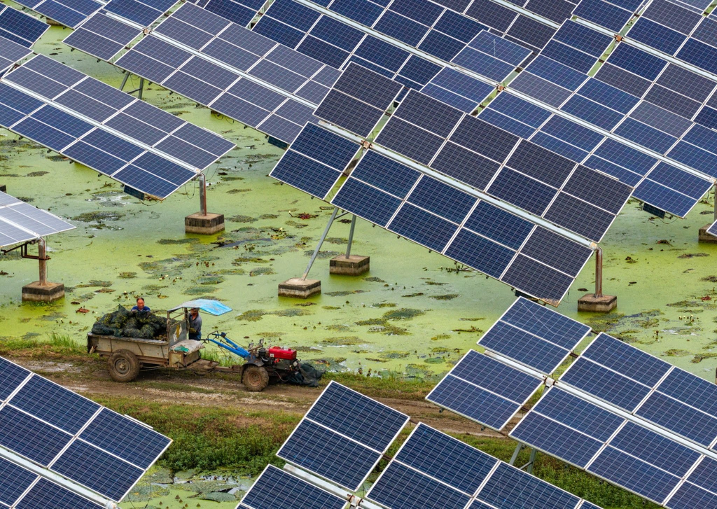 China Energy and Emissions Trends – September 2026 snapshot – Centre for Research on Energy and Clean Air