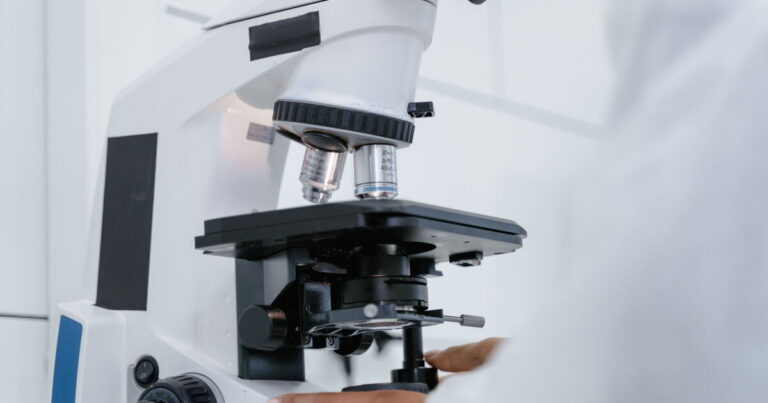 Florida’s proposed science standards sideline evolution and climate change