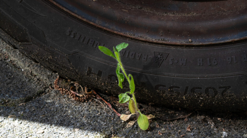 Why Biden’s Climate Law Isn’t Dead Yet