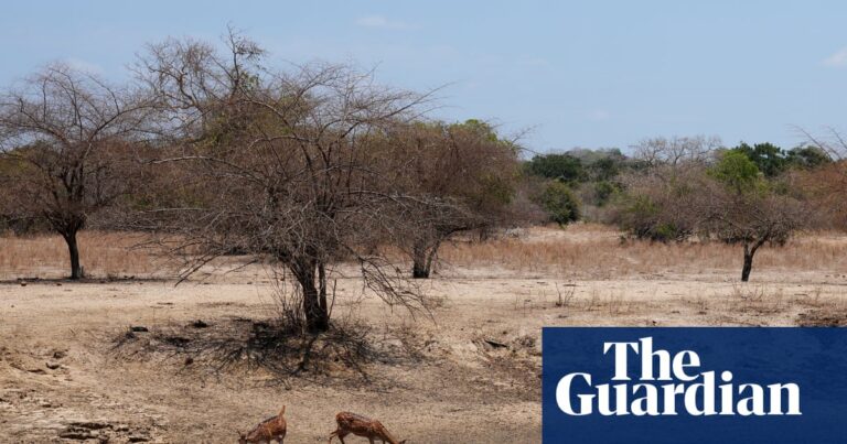 IPCC is under pressure to delay publication of key global climate report | Intergovernmental Panel on Climate Change (IPCC)