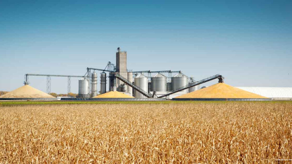 Trump Curbs Farmers’ Access to Funding for Energy Projects