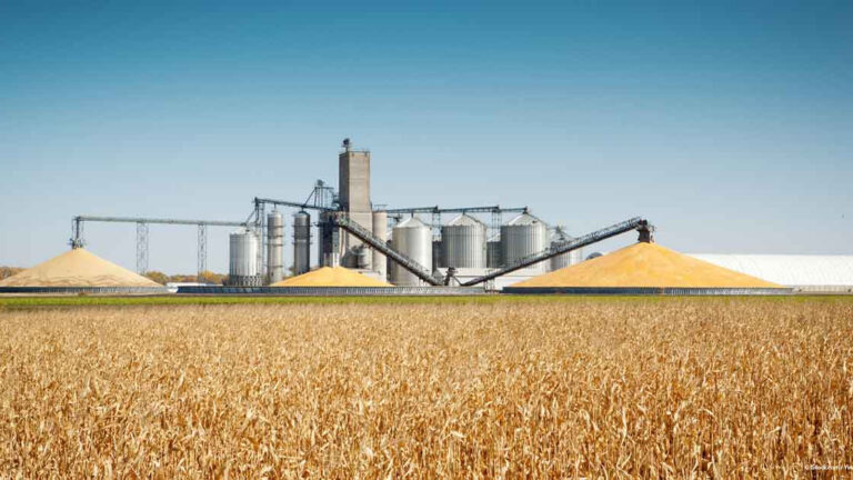 Trump Curbs Farmers’ Access to Funding for Energy Projects
