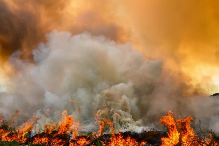 Use This Emergency Brake On Climate Change And Air Pollution, Experts Urge Finance Ministers